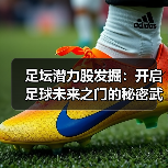 足坛潜力股发掘:开启足球未来之门的秘密武器(图2) 足坛潜力股发掘:开启足球未来之门的秘密武器(图2)