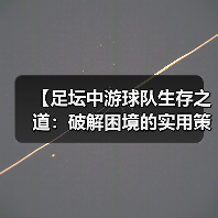 【足坛中游球队生存之道:破解困境的实用策略】(图4) 【足坛中游球队生存之道:破解困境的实用策略】(图4)