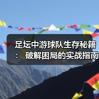 足坛中游球队生存秘籍： 破解困局的实战指南（图2）