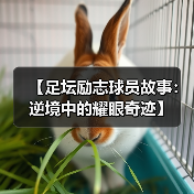 【足坛励志球员故事：逆境中的耀眼奇迹】 - 玄熵西汉姆联