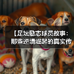 【足坛励志球员故事:那些逆境崛起的真实传奇】(图2) 【足坛励志球员故事:那些逆境崛起的真实传奇】(图2)