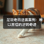 足坛老将逆袭案例：难以置信的逆转奇迹（图3）