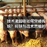 技术流前锋如何突破传统？控球与战术思维的秘密（图2）