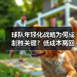 球队年轻化战略为何成制胜关键？低成本高回报的未来之道 - 玄熵西汉姆联