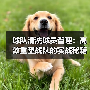球队清洗球员管理：高效重塑战队的实战秘籍 - 玄熵西汉姆联