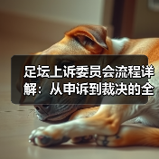 足坛上诉委员会流程详解:从申诉到裁决的全攻略(图3) 足坛上诉委员会流程详解:从申诉到裁决的全攻略(图3)