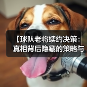 【球队老将续约决策：真相背后隐藏的策略与内幕】（图3）