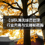 【球队清洗球员管理：行业内幕与实操秘籍揭秘】（图3）