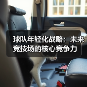 球队年轻化战略:未来竞技场的核心竞争力(图3) 球队年轻化战略:未来竞技场的核心竞争力(图3)