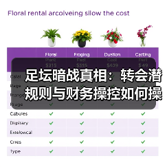 足坛暗战真相:转会潜规则与财务操控如何操控赛场?(图4) 足坛暗战真相:转会潜规则与财务操控如何操控赛场?(图4)