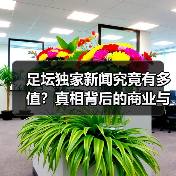 足坛独家新闻究竟有多值?真相背后的商业与行业巨变(图4) 足坛独家新闻究竟有多值?真相背后的商业与行业巨变(图4)
