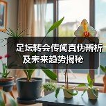 足坛转会传闻真伪辨析及未来趋势揭秘（图4）