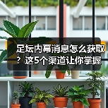 足坛内幕消息怎么获取?这5个渠道让你掌握关键信息(图4) 足坛内幕消息怎么获取?这5个渠道让你掌握关键信息(图4)