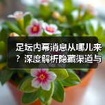 足坛内幕消息从哪儿来?深度解析隐藏渠道与识别技巧(图2) 足坛内幕消息从哪儿来?深度解析隐藏渠道与识别技巧(图2)