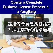 足坛内幕消息从哪儿来?深度解析隐藏渠道与识别技巧(图4) 足坛内幕消息从哪儿来?深度解析隐藏渠道与识别技巧(图4)