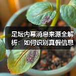 足坛内幕消息来源全解析：如何识别真假信息？ - 玄熵西汉姆联