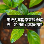 足坛内幕消息来源全解析：如何识别真假信息？（图3）