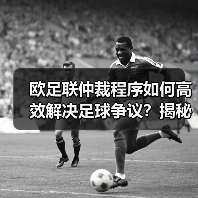 欧足联仲裁程序如何高效解决足球争议?揭秘流程与案例(图2) 欧足联仲裁程序如何高效解决足球争议?揭秘流程与案例(图2)