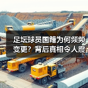 足坛球员国籍为何频频变更?背后真相令人震撼(图4) 足坛球员国籍为何频频变更?背后真相令人震撼(图4)