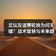 足坛友谊赛轮换背后的战术玄机：如何最大化球员潜能？-玄熵西汉姆联 - 玄熵西汉姆联