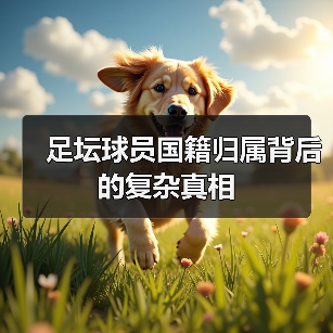 足坛球员国籍归属背后的复杂真相 - 玄熵西汉姆联