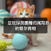 足坛球员国籍归属背后的复杂真相(图3) 足坛球员国籍归属背后的复杂真相(图3)