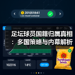 足坛球员国籍归属真相：多国策略与内幕解析（图2）