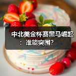 中北美金杯赛黑马崛起：谁能突围？（图4）