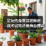 足坛热身赛背后秘密：战术试验还是商业博弈？（图2）