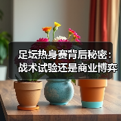 足坛热身赛背后秘密：战术试验还是商业博弈？（图3）