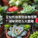 足坛热身赛到底有何用？揭秘背后五大真相（图4）