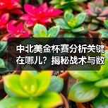 中北美金杯赛分析关键在哪儿？揭秘战术与数据的制胜密码（图3）