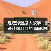 足坛球迷感人故事：那些让你泪目的瞬间你知多少？ - 玄熵西汉姆联