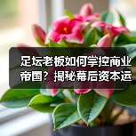 足坛老板如何掌控商业帝国?揭秘幕后资本运作真相(图4) 足坛老板如何掌控商业帝国?揭秘幕后资本运作真相(图4)
