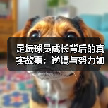 足坛球员成长背后的真实故事：逆境与努力如何铸就传奇（图2）