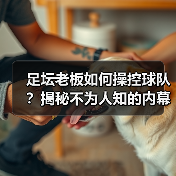 足坛老板如何操控球队？揭秘不为人知的内幕与逆袭故事（图4）