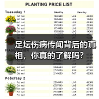 足坛伤病传闻背后的真相,你真的了解吗?(图1) 足坛伤病传闻背后的真相,你真的了解吗?(图1)