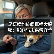 足坛续约传闻真相大揭秘：影响与未来博弈全解析 - 玄熵西汉姆联