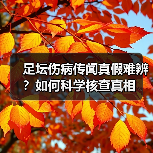 足坛伤病传闻真假难辨?如何科学核查真相(图1) 足坛伤病传闻真假难辨?如何科学核查真相(图1)