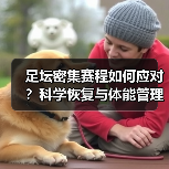 足坛密集赛程如何应对?科学恢复与体能管理四大攻略(图2) 足坛密集赛程如何应对?科学恢复与体能管理四大攻略(图2)