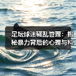 足坛球迷骚乱管理:揭秘暴力背后的心理与科技防线(图2) 足坛球迷骚乱管理:揭秘暴力背后的心理与科技防线(图2)