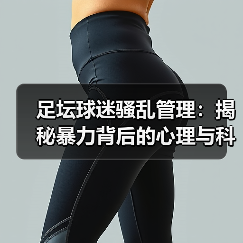 足坛球迷骚乱管理:揭秘暴力背后的心理与科技防线(图4) 足坛球迷骚乱管理:揭秘暴力背后的心理与科技防线(图4)