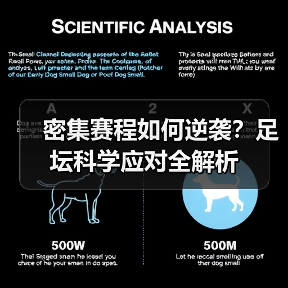 赛程密集应对秘诀：科学管理如何稳住状态？-玄熵西汉姆联 - 玄熵西汉姆联