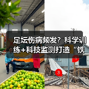 足坛伤病频发？科学训练+科技监测打造“铁人”身体秘诀 - 玄熵西汉姆联