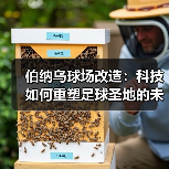 伯纳乌球场改造:科技如何重塑足球圣地的未来?(图1) 伯纳乌球场改造:科技如何重塑足球圣地的未来?(图1)