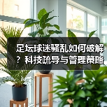 足坛球迷骚乱如何破解?科技疏导与管理策略深度解析(图2) 足坛球迷骚乱如何破解?科技疏导与管理策略深度解析(图2)
