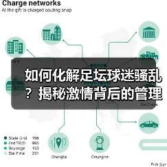 如何化解足坛球迷骚乱？揭秘激情背后的管理之道 - 玄熵西汉姆联