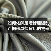 如何化解足坛球迷骚乱?揭秘激情背后的管理之道(图3) 如何化解足坛球迷骚乱?揭秘激情背后的管理之道(图3)
