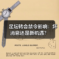 足坛转会禁令影响：坏消息还是新机遇？ - 玄熵西汉姆联