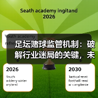 足坛赌球监管机制：破解行业迷局的关键，未来可期 - 玄熵西汉姆联